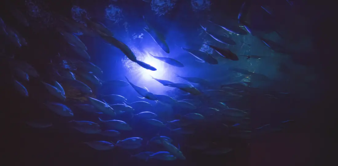深海征途2030 2